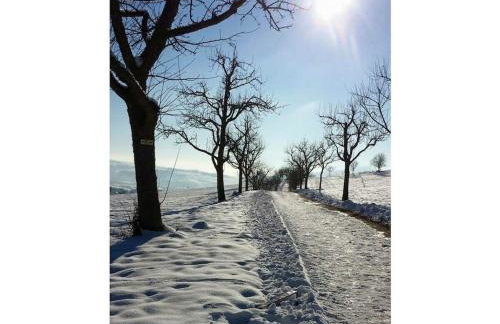 Haus Baier No 2 with balcony - Foto 18