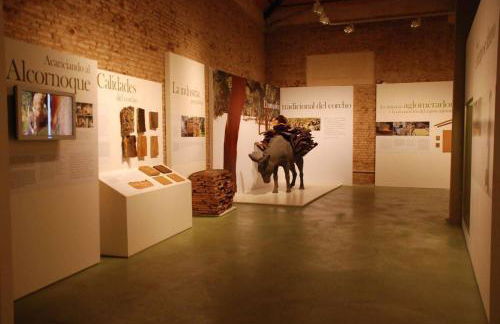 Una semana que tus hijos recordarán toda la vida - Foto 43