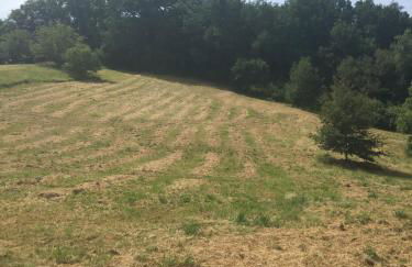 Maison en pierre Les Chardonnerets avec piscine - Foto 12