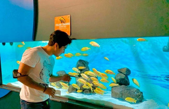 Billet pour l'aquarium Michin Puebla - Photo 4