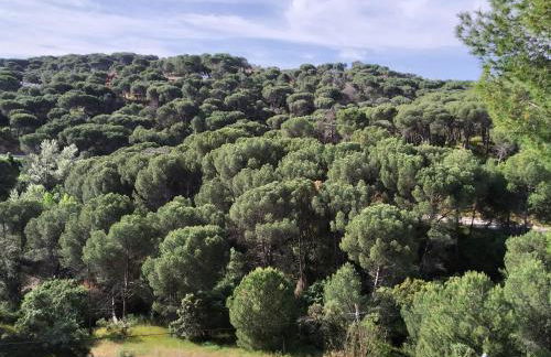 EL MIRADOR DE BACHA - Foto 33