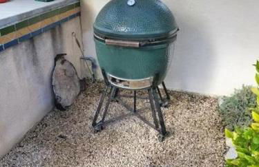 Hacienda Buena Vida - Foto 33