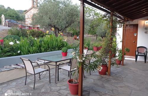 Armonia Guesthouse - Foto 49