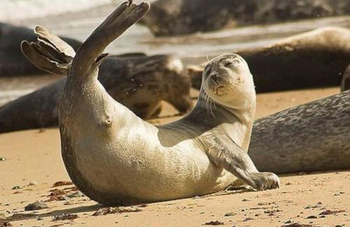 Beautifully appointed 2 storey chalet with access to outdoor swimming pool - 5 minute stroll to miles of sandy beach - Near to the Norfolk Broads & Great Yarmouth - Foto 8