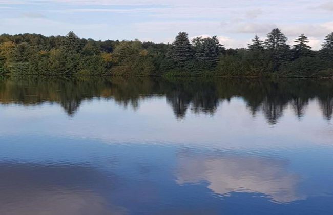 Apartment With Views of the Ore Mountains - Foto 16