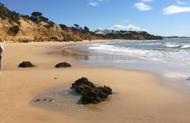 Lugar das Andorinhas - Foto 28