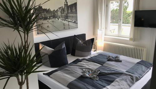 Ferienwohnungen und Apartmenthaus Halle Saale - Villa Mathilda - Foto 5