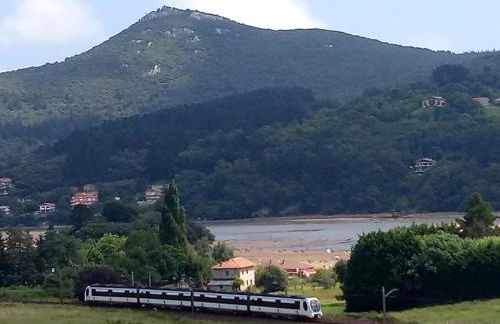 Amalur EBI 741 URDAIBAI - Photo 50