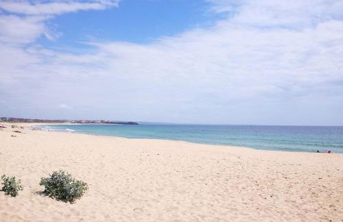 Peniche's Blue & White - Foto 13