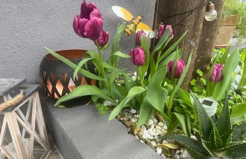 Kuća za odmor Josip - Foto 17