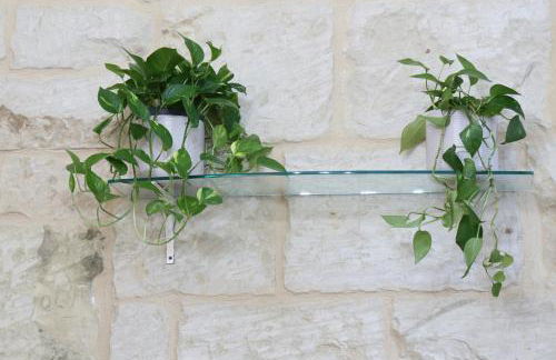 Fiori e follie - Foto 12