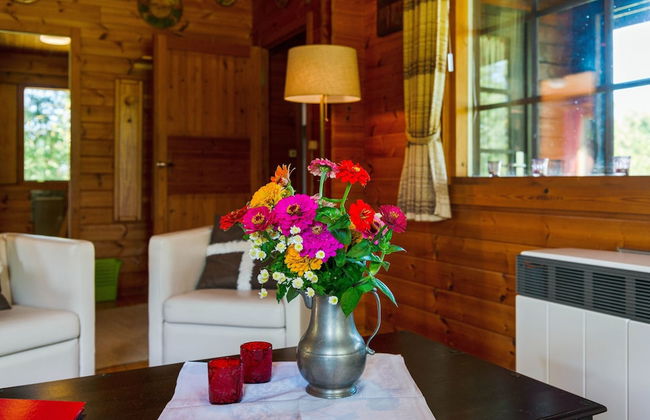 Ferienhaus in Eschede - Photo 44