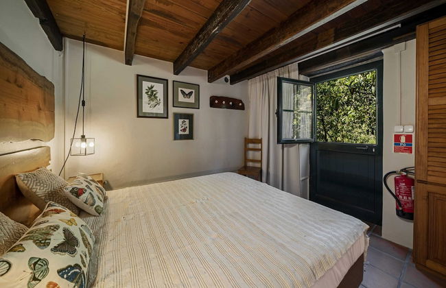 In Laurissilva Forest, Casa do Lanço -carvalho - Foto 12