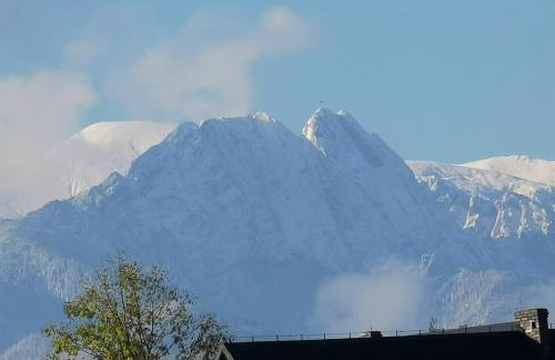 Apartament Górski Potok Murzasichle Apartamenty Murzasichle PL - Foto 75