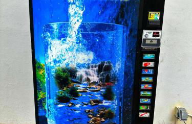 Pier Walk on Deerfield Beach Island - Photo 25