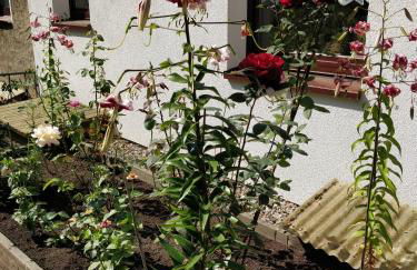 Gästehaus am Teich - Foto 13