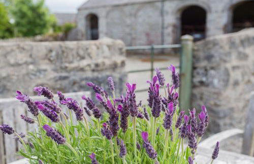 The Fancy House - Foto 12