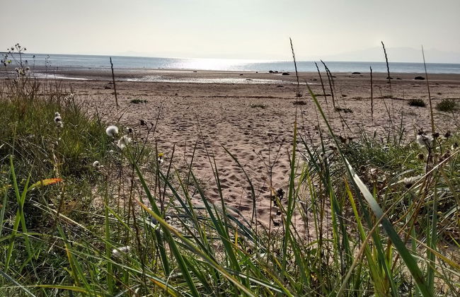 Cleeves Cabins, Ailsa Luxury Lodge With hot tub - Foto 30