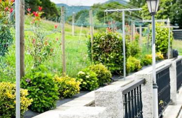 Casa Arturo - Foto 39