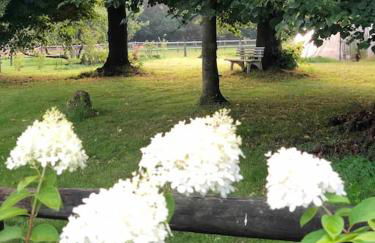 Ferienwohnung Friesenstube - Foto 51