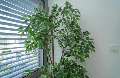 Trevo Beach House - Villa with Private Pool - Foto 38