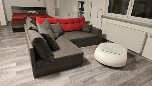 Gemütliches Appartement mit Küche und Parkplatz nähe Schweiz - Foto 3