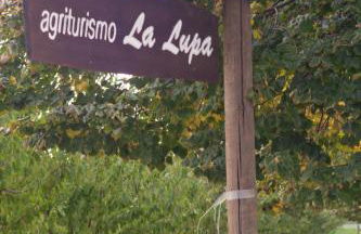 Agriturismo La Lupa - Photo 41