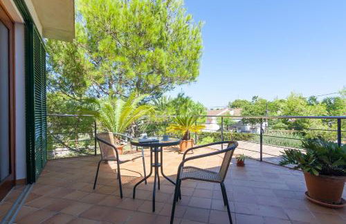 Baulo Pleta - Foto 29