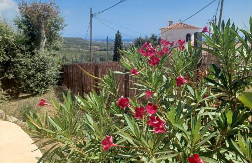 Villa Los Primos - Foto 43