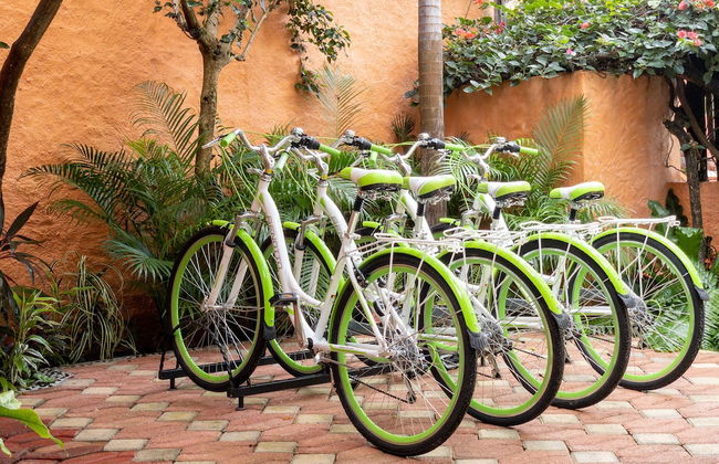 Casa Mulder - Photo 38