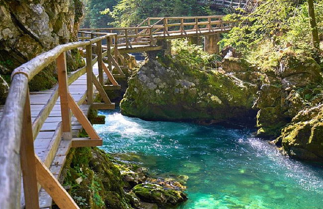 Escursione privata di un'intera giornata al Lago di Bled e al Lago di Bohinj da Lubiana - Foto 4