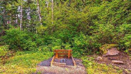 Views of Hood Canal Mount Rainier Wildlife - Foto 4