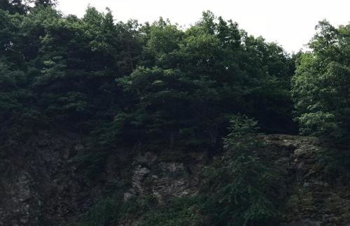 Casa Siepelunga - Photo 4