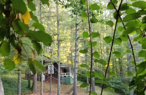 The Cabins at Healing Springs - Foto 19