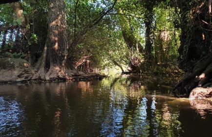 Maison Belle Vue - Foto 56