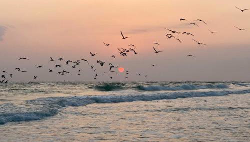 Gulfview Lido Key Gem - Walk to Beach and Shops - Foto 3