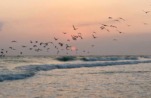 Bright Coastal Condo Walk to Lido Key Beach! - Foto 29