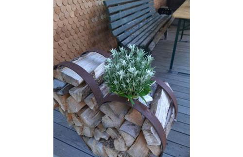 Holiday apartment at Gallus Denneberg - Foto 13