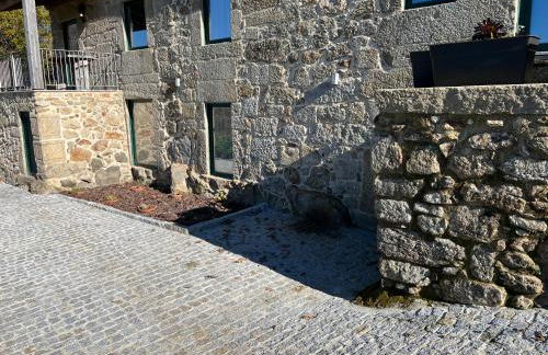 Quinta Casa do Retiro - Foto 8