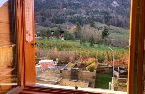 l'Echo des Glieres vue montagne centre village sauna & grill - Foto 50