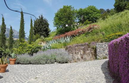 Ancient estate "Il Trignano" - Foto 8