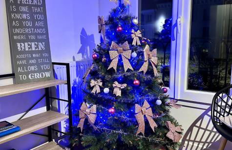 Cosy Apartment Carré Elysée Serris - Foto 24