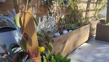 Appartement à Pramousquier Le Lavandou - Foto 3