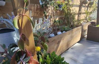 Appartement à Pramousquier Le Lavandou - Foto 3