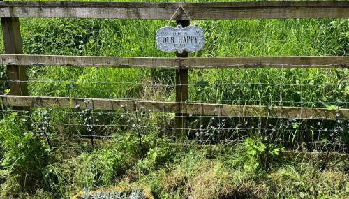 3 Bedroom Dog Friendly Cottage with Off Lead Field - Foto 4, Garden