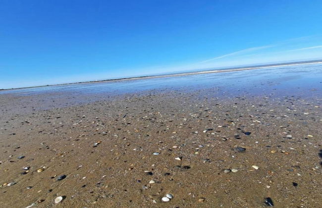 Chalet in De Haan Near Sandy Beaches - Photo 38