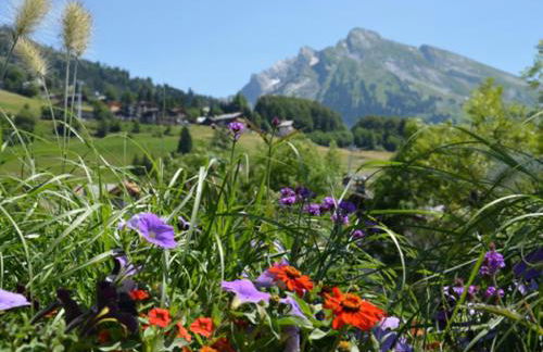 Résidence - Les Grandes Alpes - Foto 32