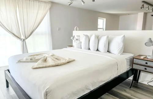 Little Italy Modern Lofts - Foto 13