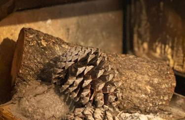 Chupitos de tinta Apartamento rural solárium - Foto 30