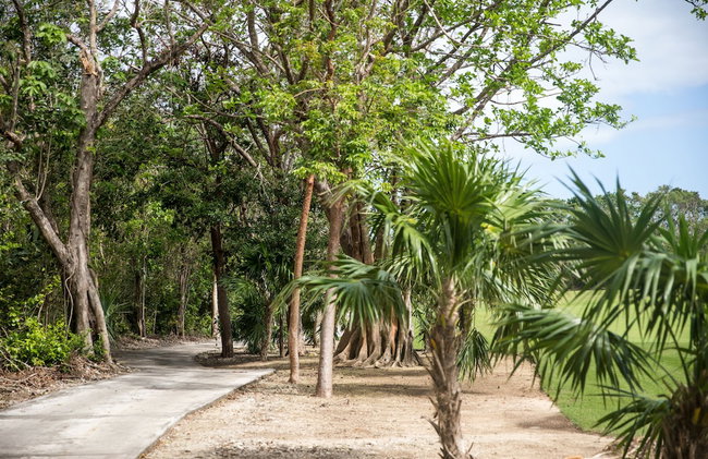 The Palm Luxury Villas Corasol by Lumina - Foto 69